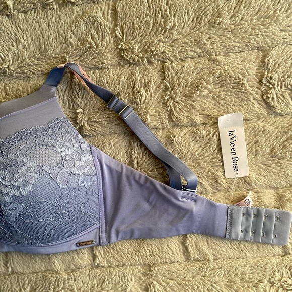 La vie en Rose Adjustable Hook Eye and Closure Pushup Bra - Picture 3 of 7
